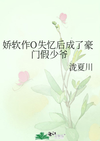 �����ӿ���