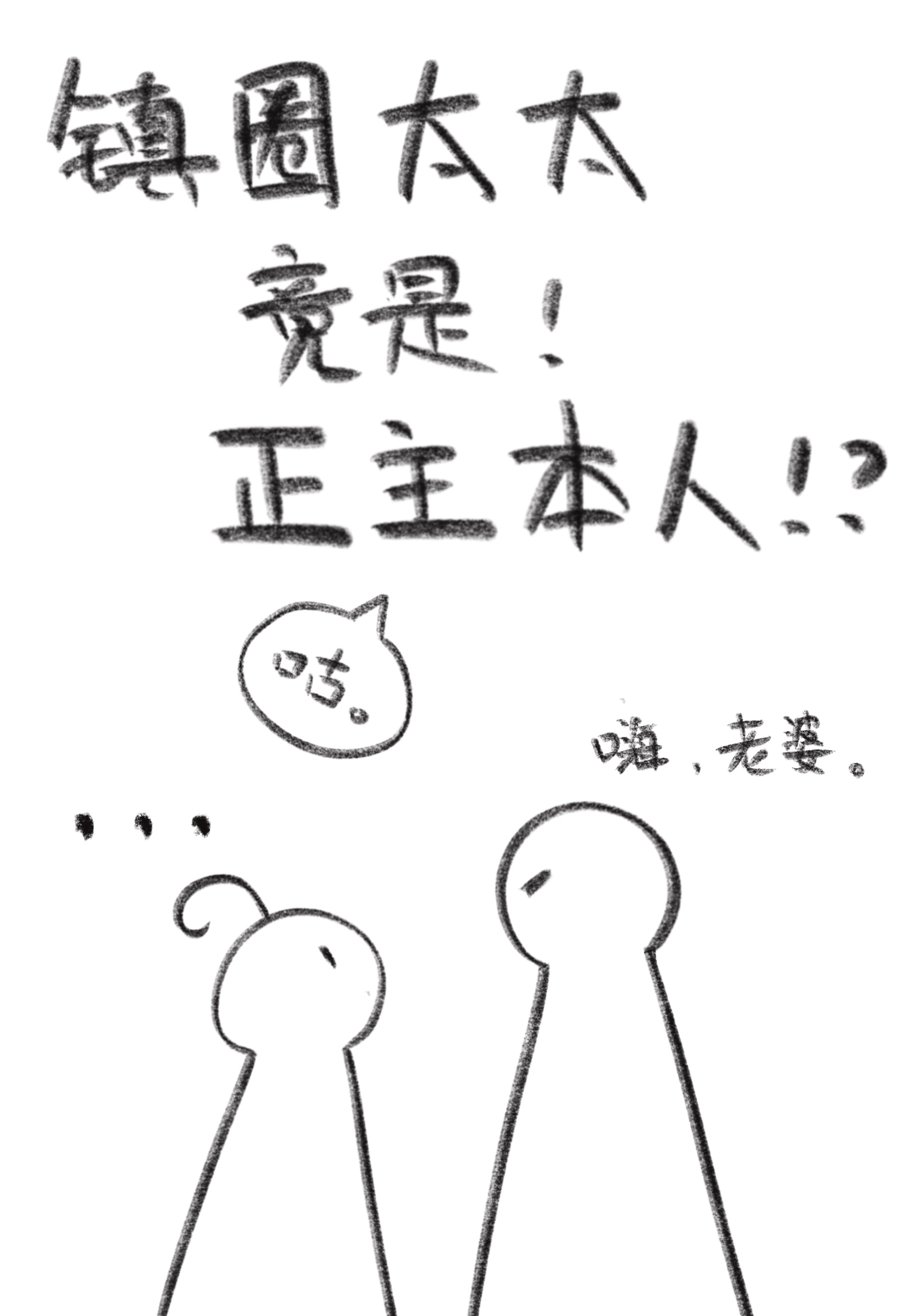 ��Ȧ̫̫������������